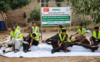 Qurban Distribution Program
